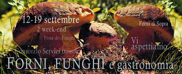 FESTA_FUNGHI Banner